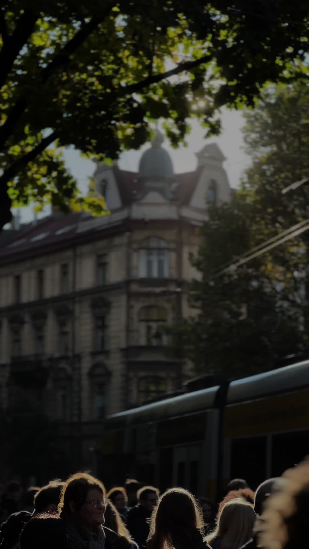 @📽️ ig: yariczek