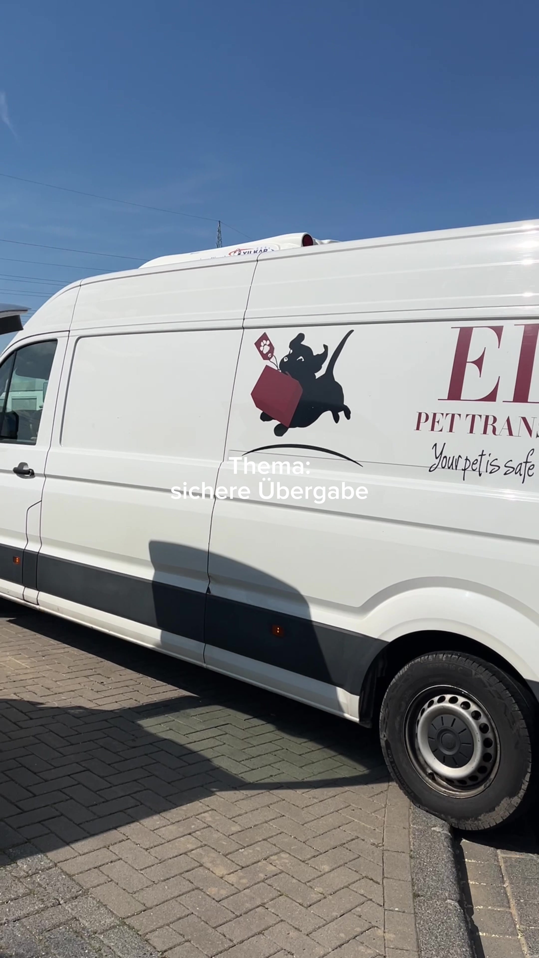 @SpecialDogs e.V.