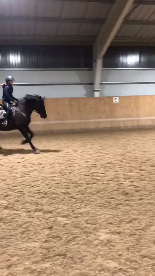 @🏇Ryttare🏇