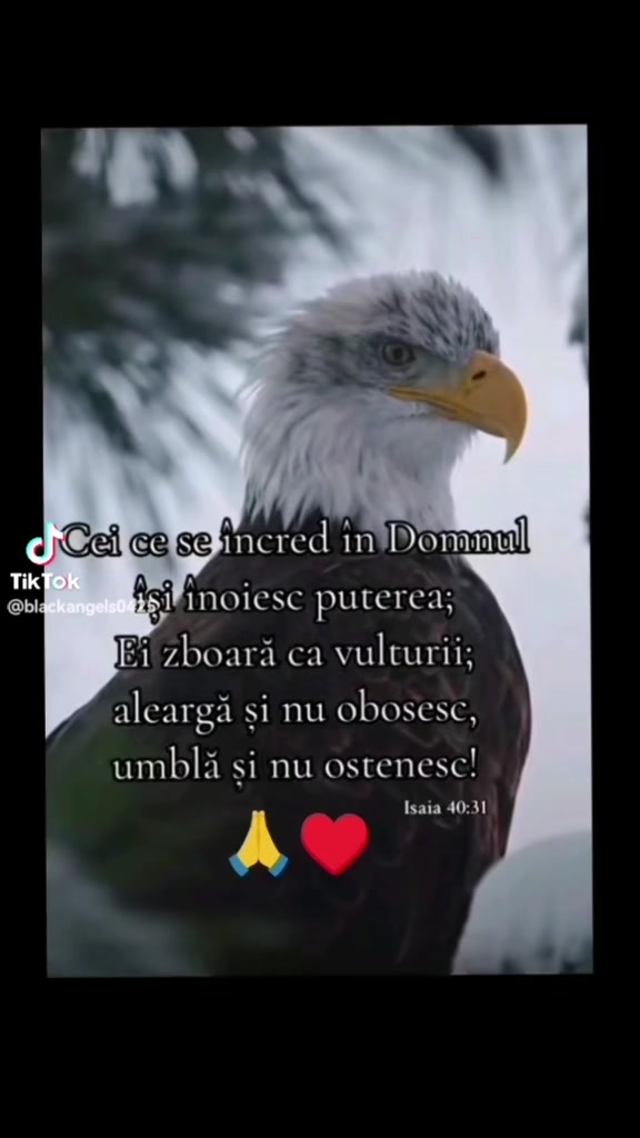 @Claudia Chirculeanu