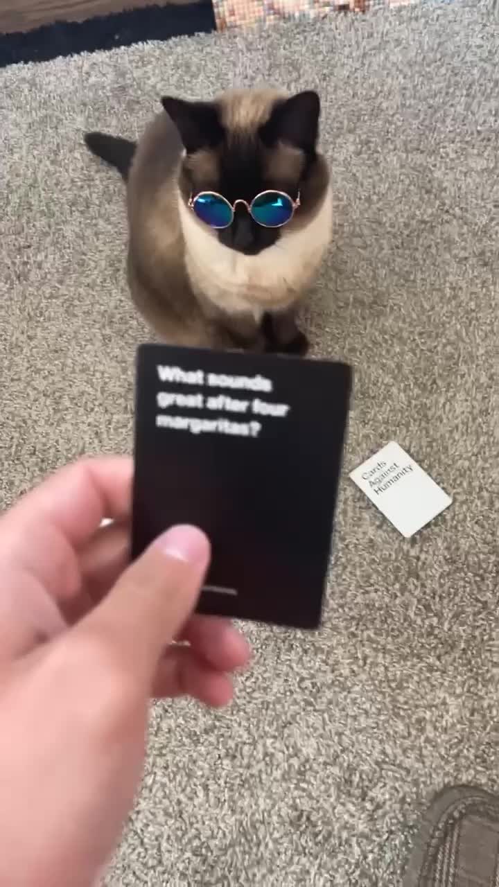@bap.kat