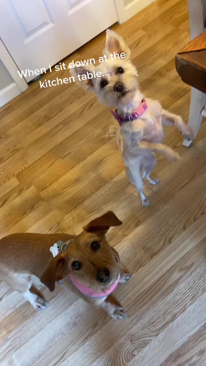 @KaraRamirez