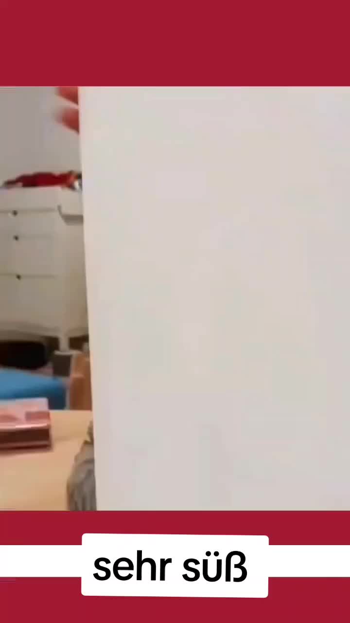 @deutsch246