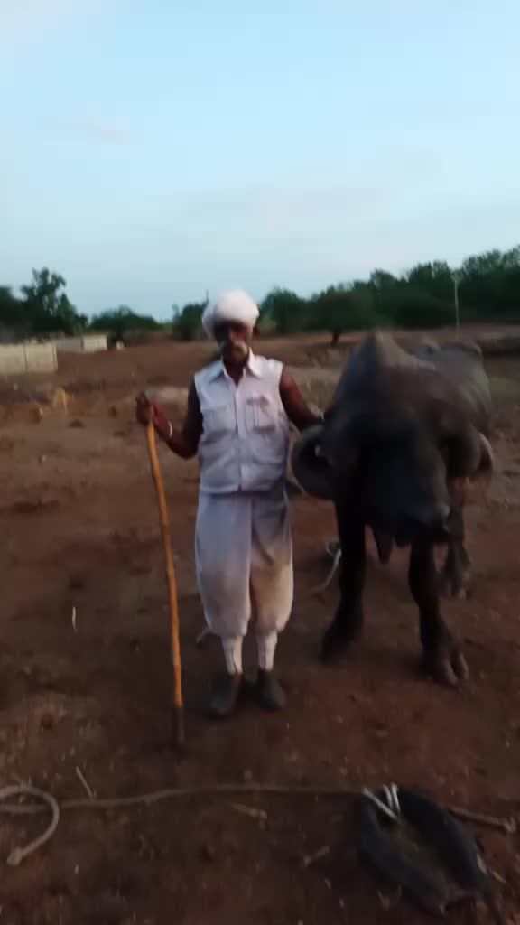 @D.K.ભુવા