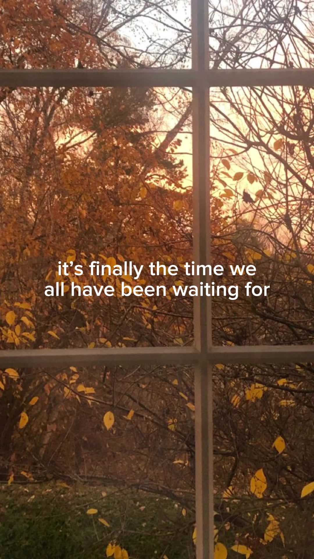 @Ellie *ೃ༄