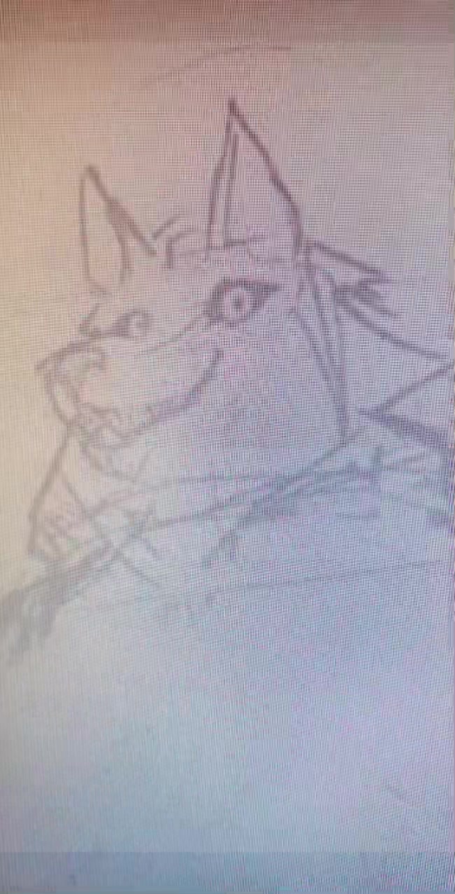 @🐀