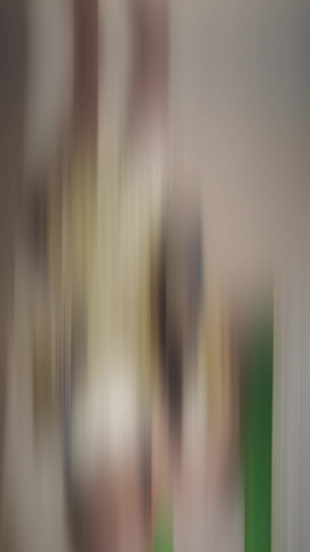 @๐ฆ๐๐๐๐๐๐๐๐๐ฆ