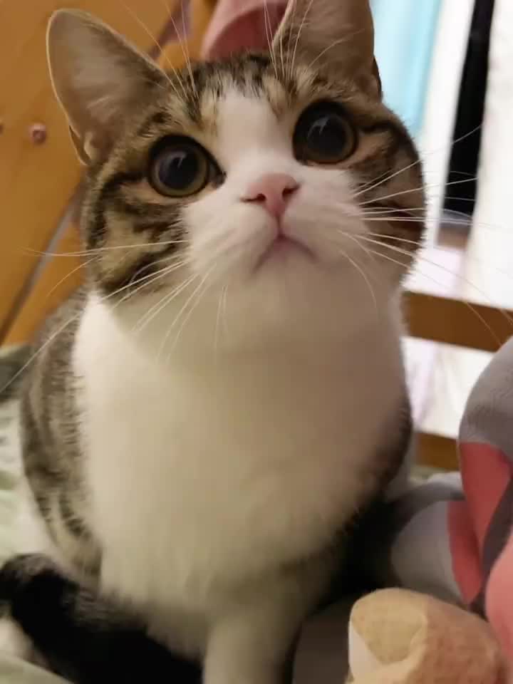 @Lin