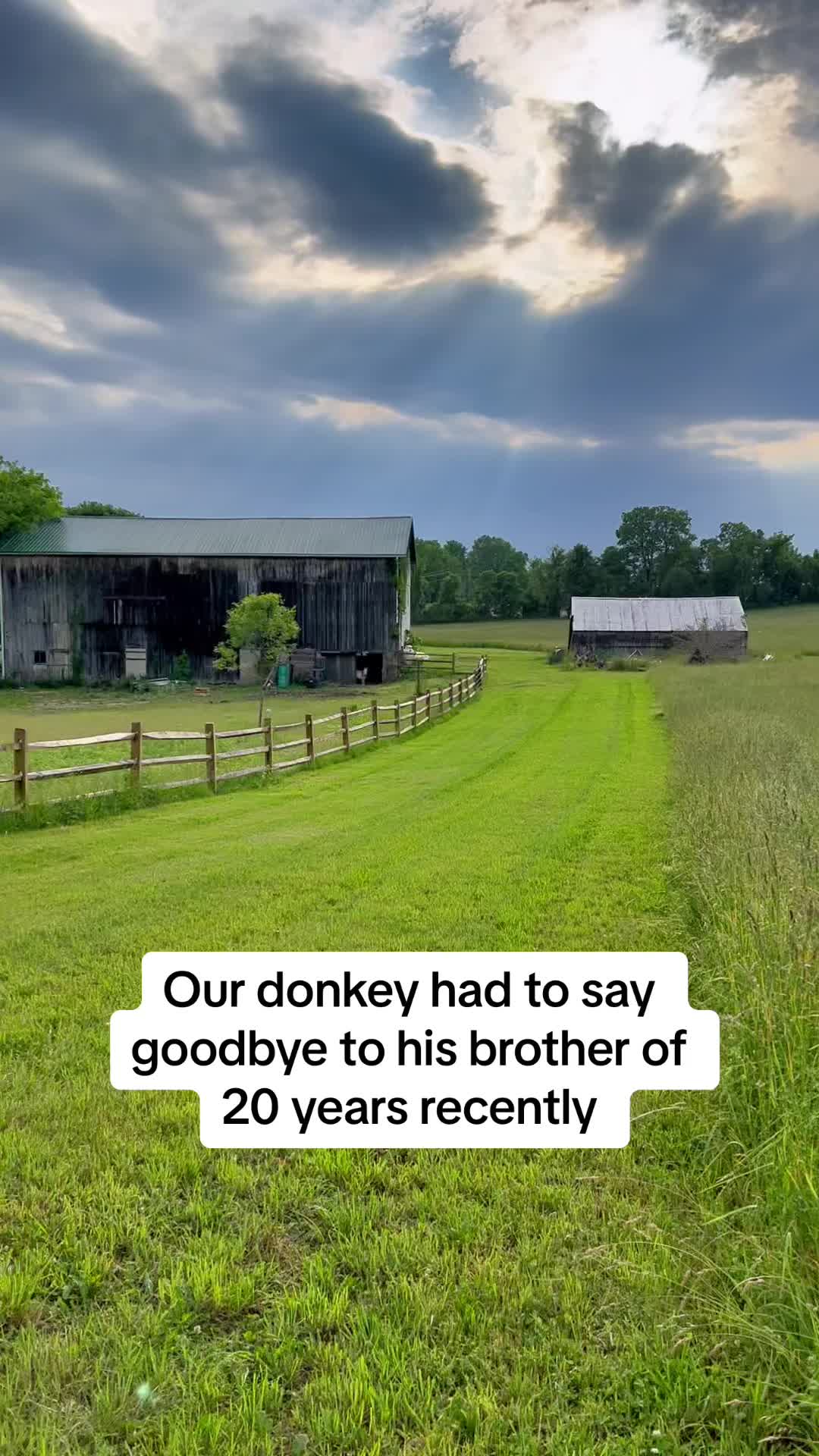 @Freedom Farmhouse