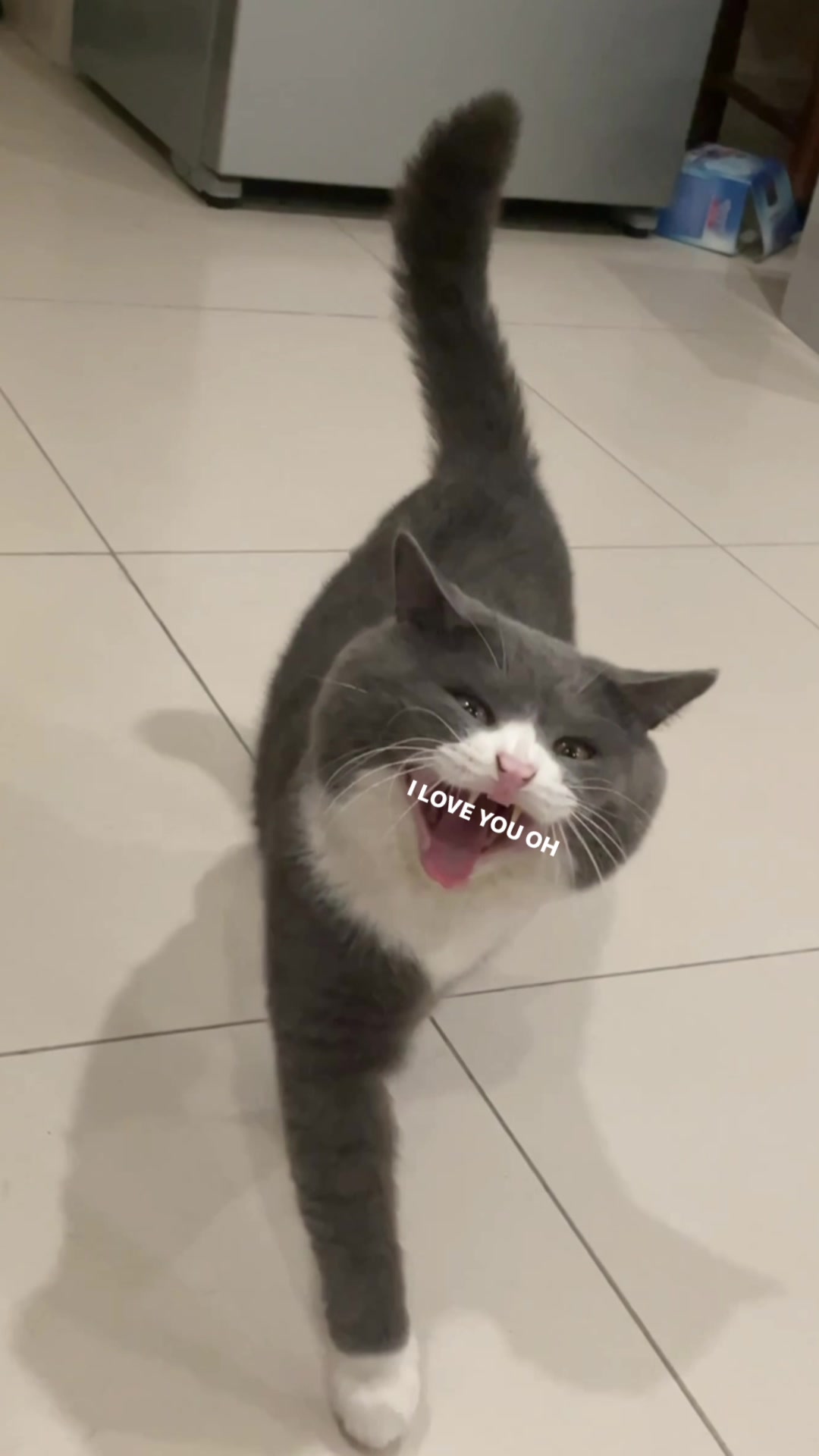 @Bi b&eacute;ooo ❤️