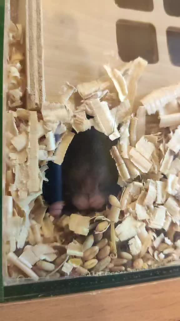 @Jessica