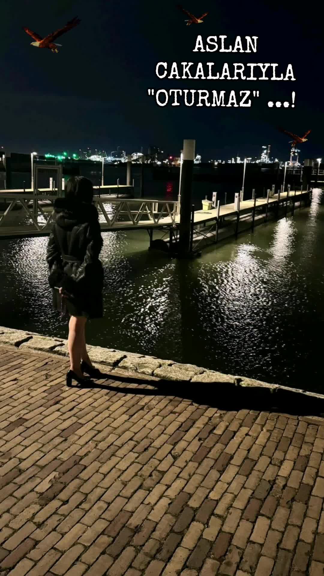 @🦋Ani🦋
