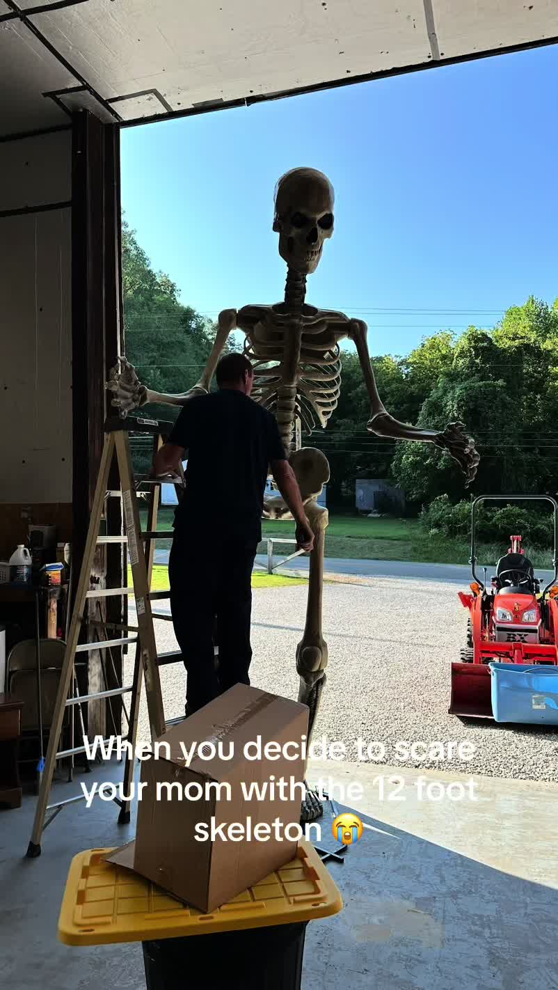 @Lewis Maynard