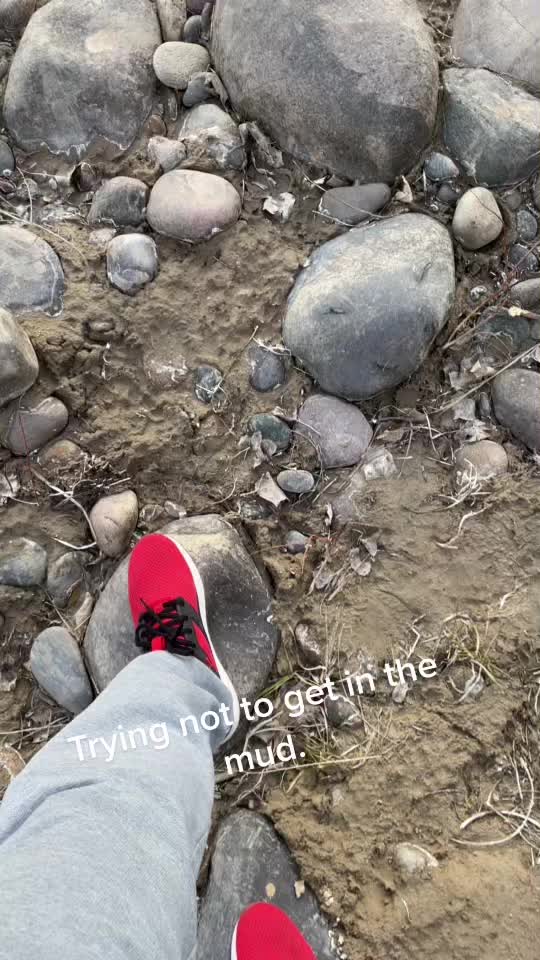 @Lulu.R