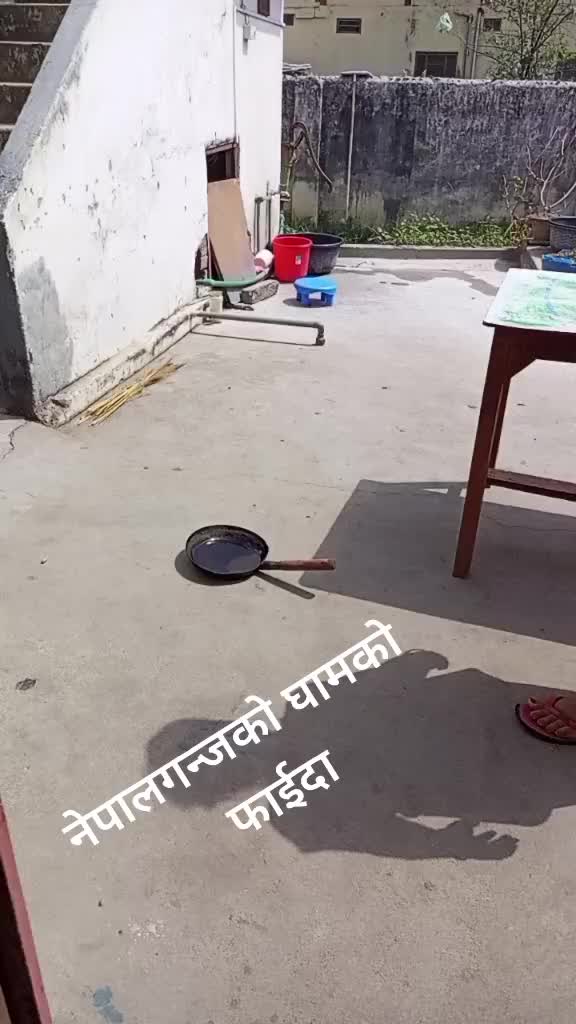 @11🔱⚔️🕉️Susma rawat🇳🇵🇳🇵?
