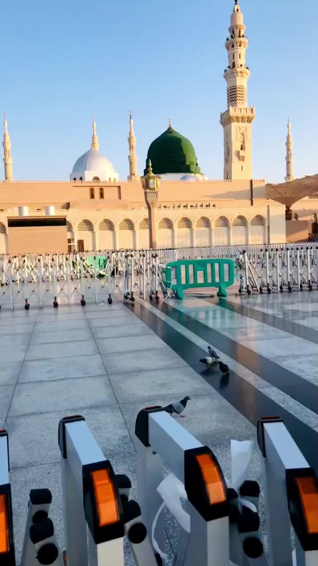 @Ch Ali Hassan Goraya👑