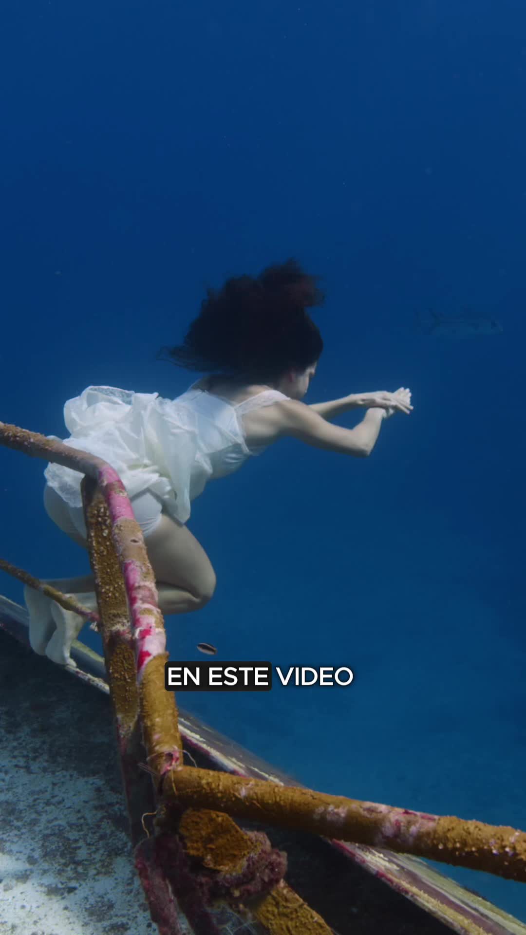 @Ariadna Hafez