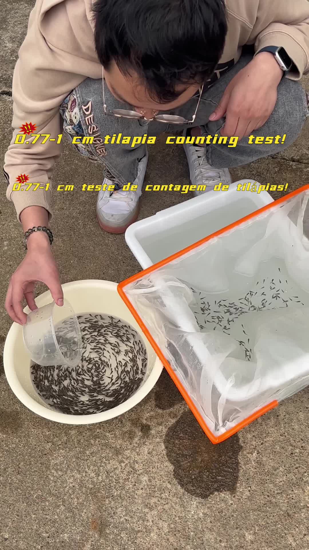 @Elissa