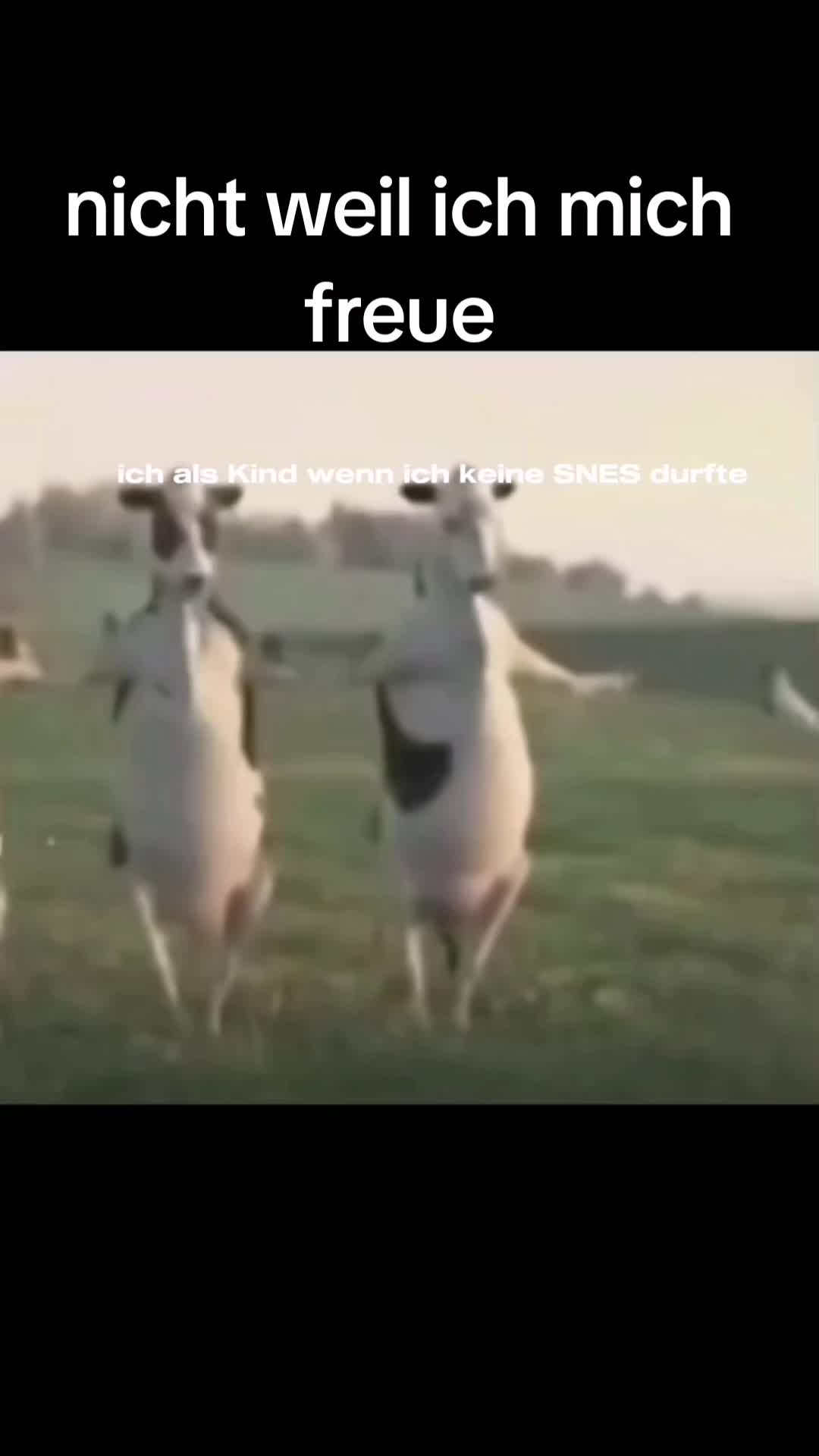 @die erde