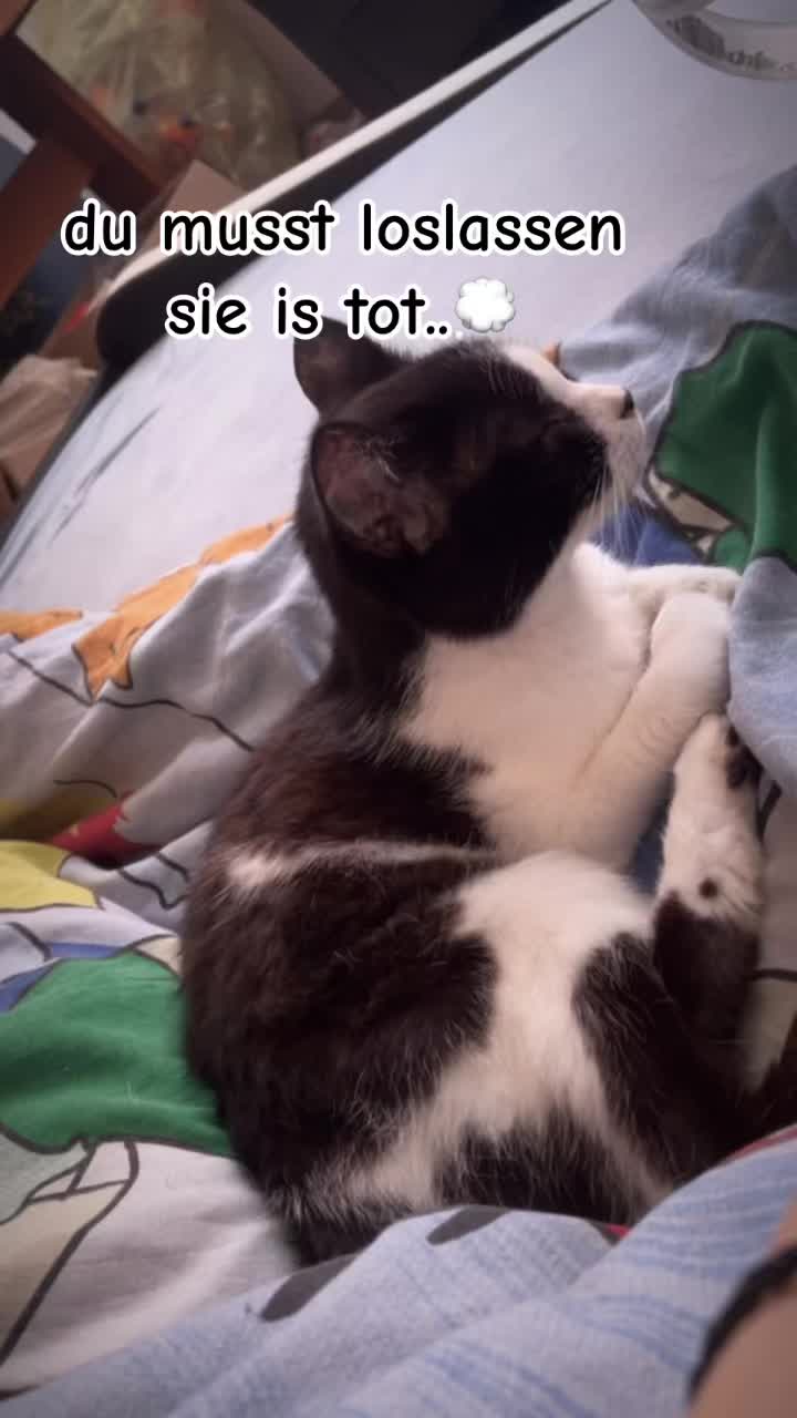 @_xproblemkindx_