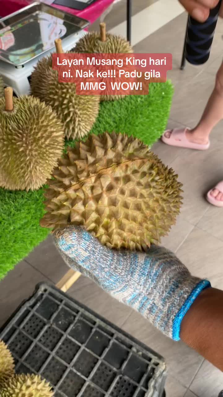 @Durian King Kaki