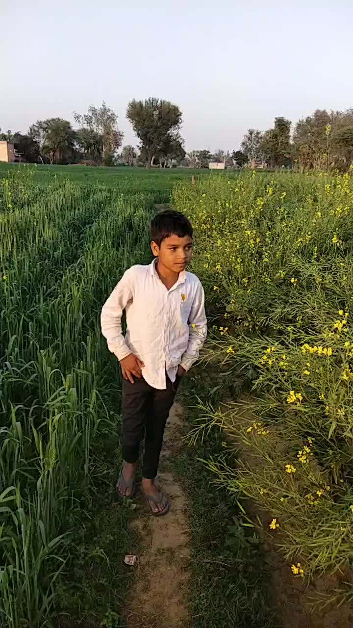 @rihan Malik