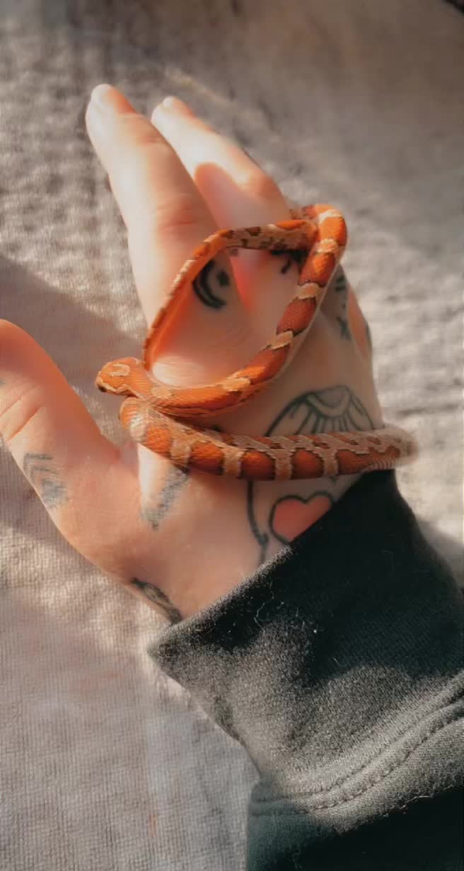 @lainypop420