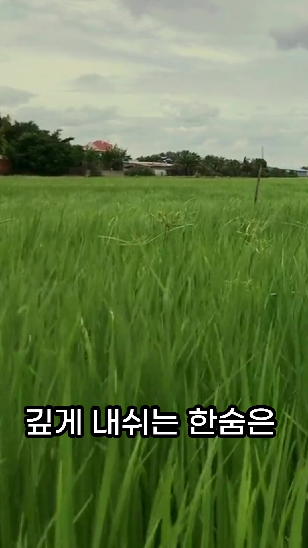 @건강한 산책