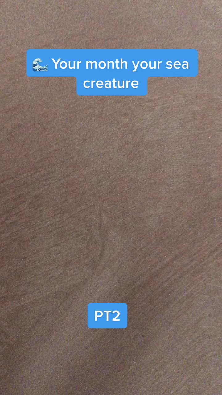 @AussieManLikesFeet