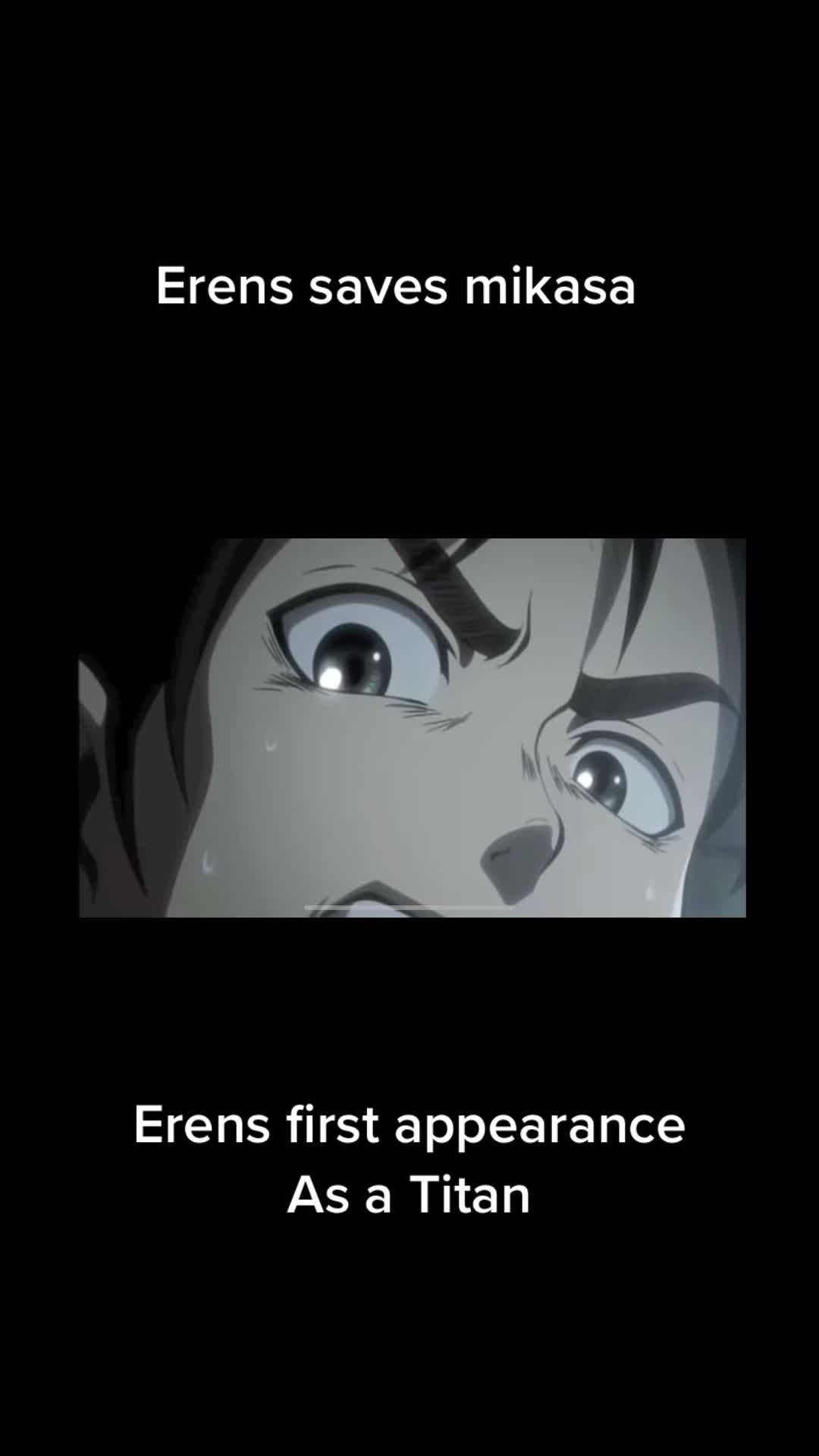 @Attack On Titan fans (sub/dub)