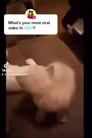 @ramon.brianna77
