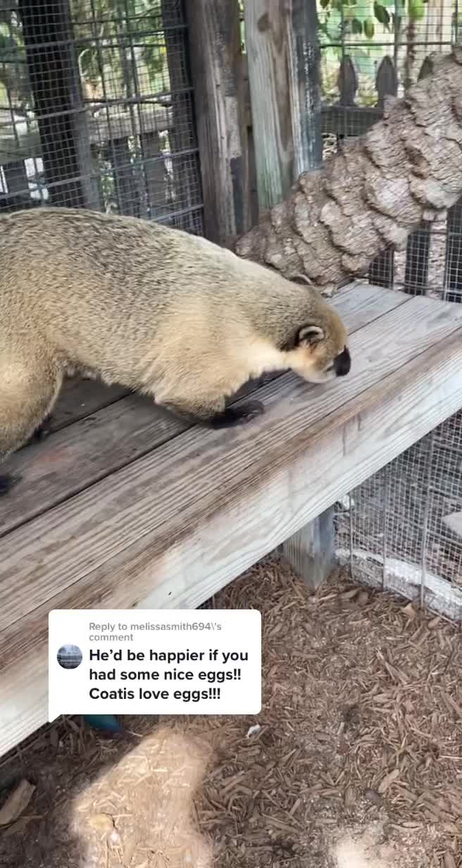 @Nick