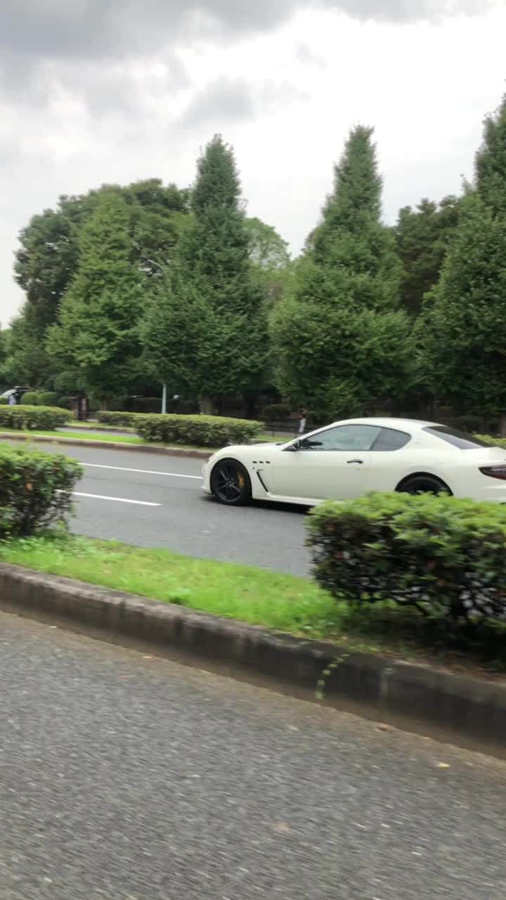 @dachio3150