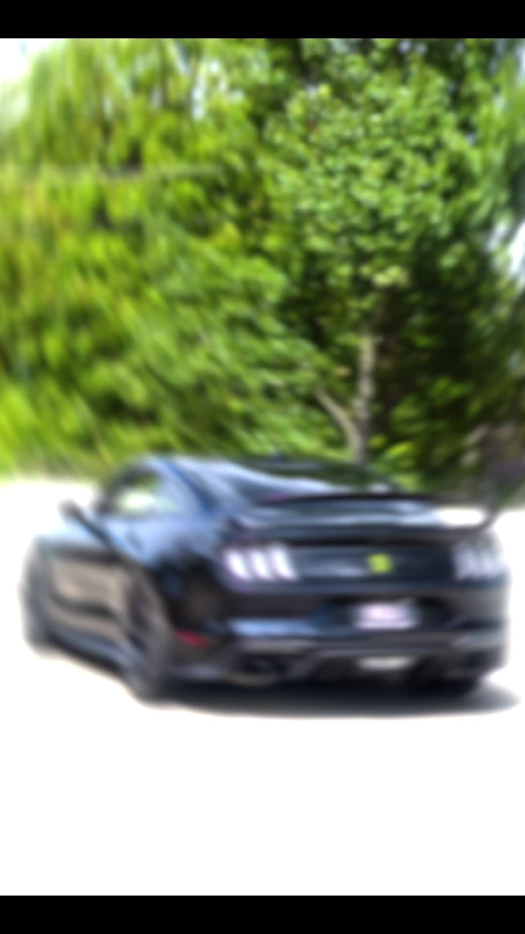 @NightShade5.0