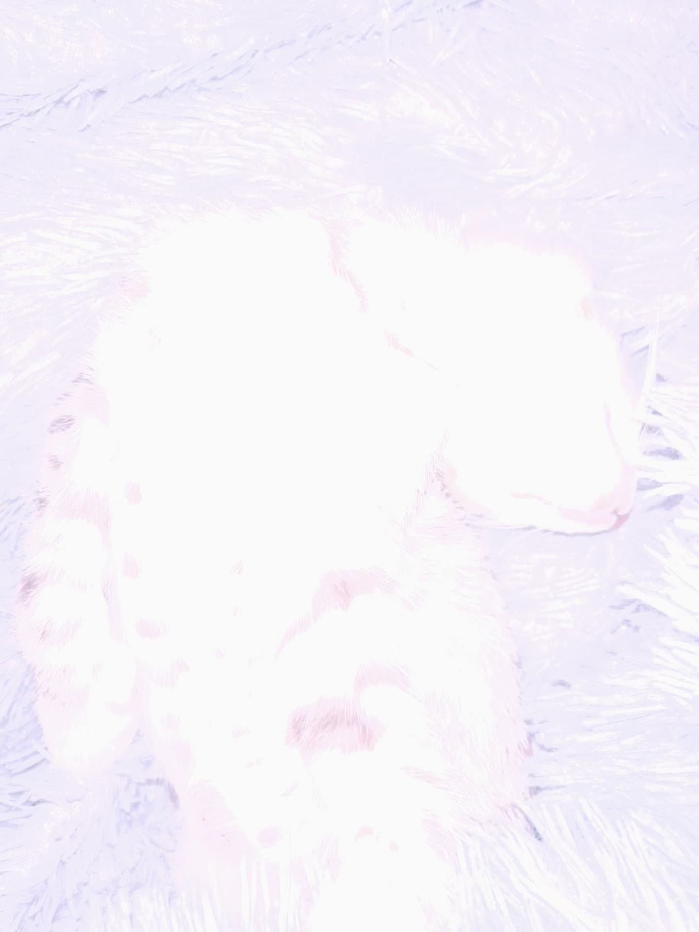 @R