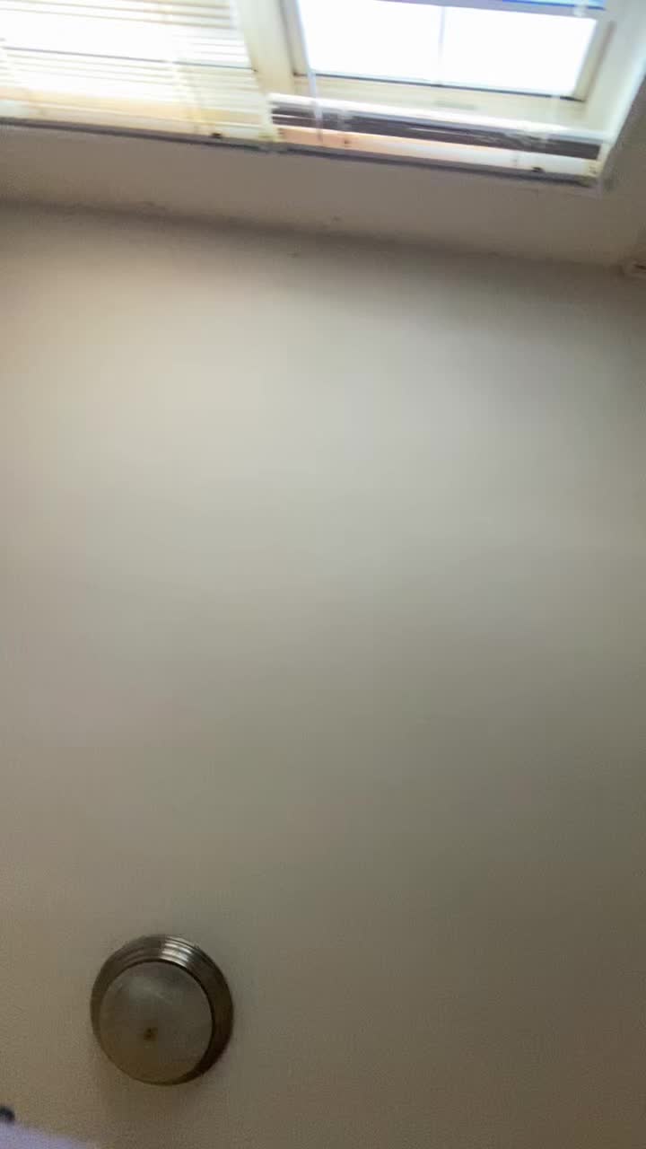 @Cookie 🍪 🥷🏿👹