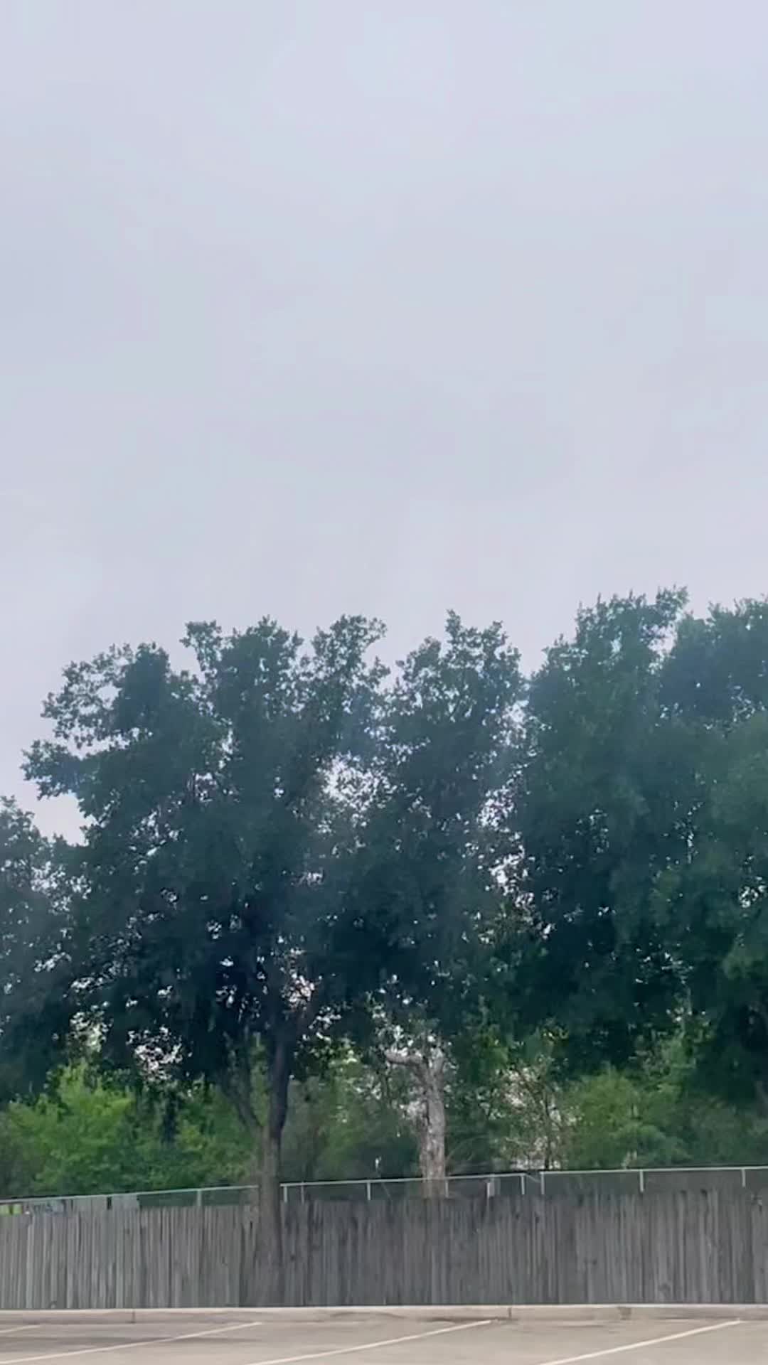 @Red panda eclipse
