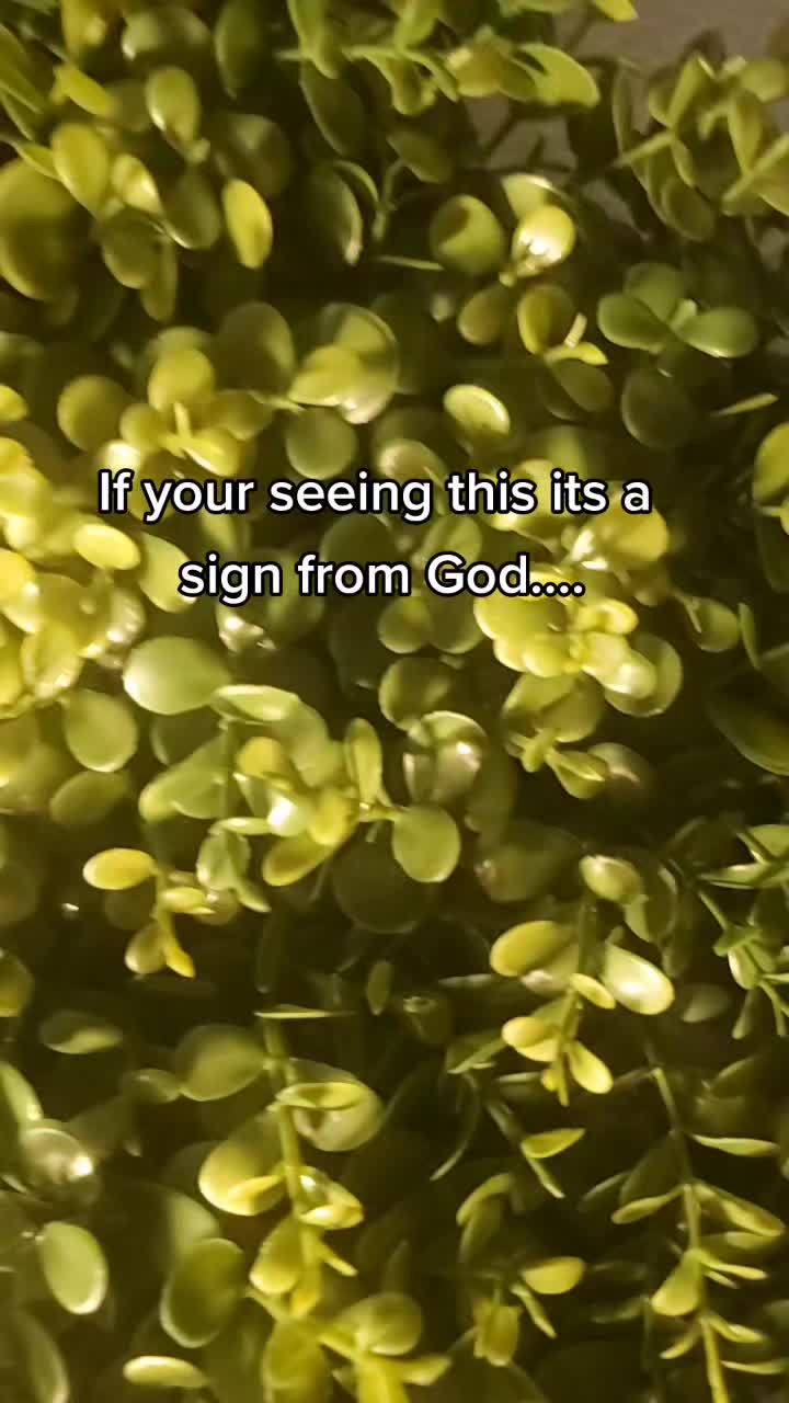 @jesusisking1579