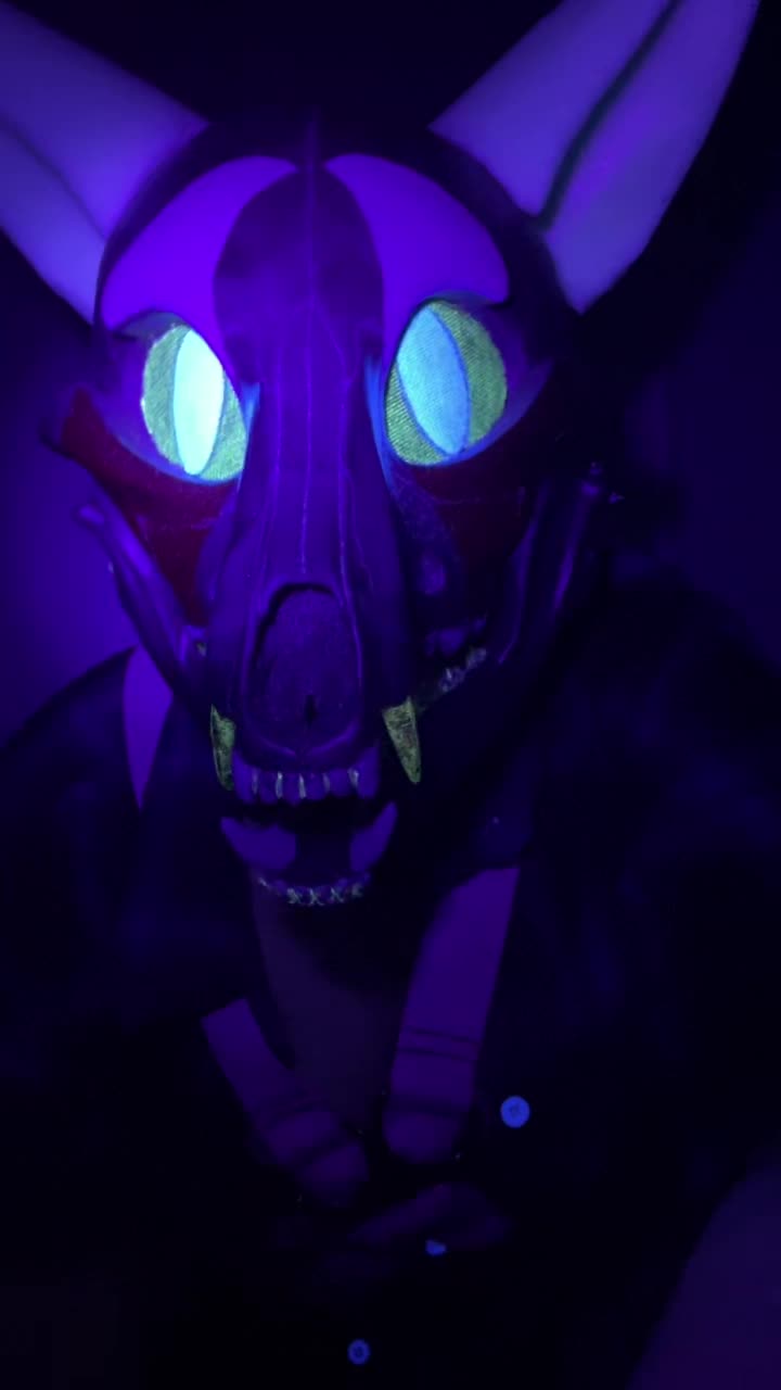@MidnightTheWolf