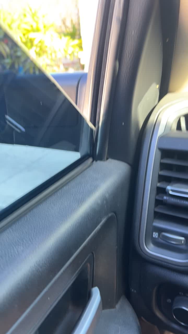 @MalditoTortuga