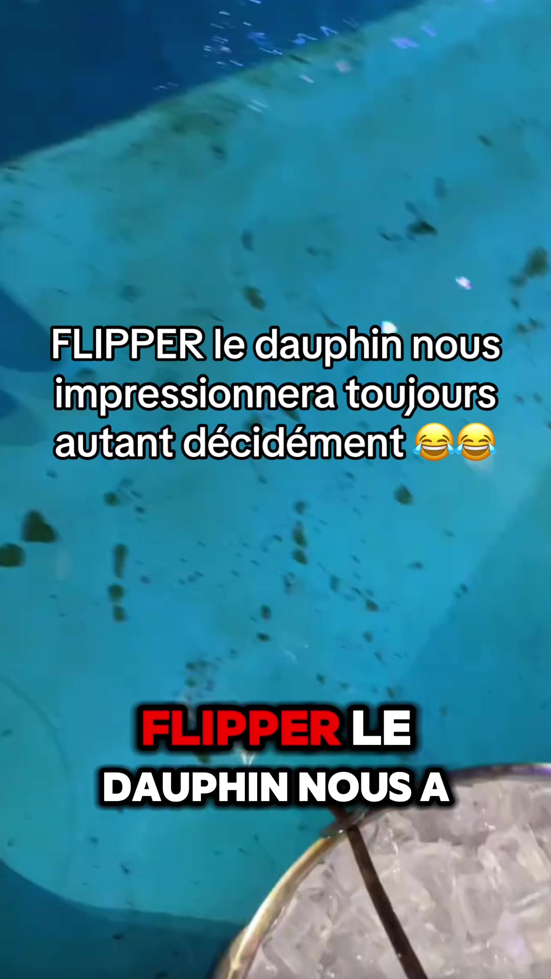 @OxarfisH ™