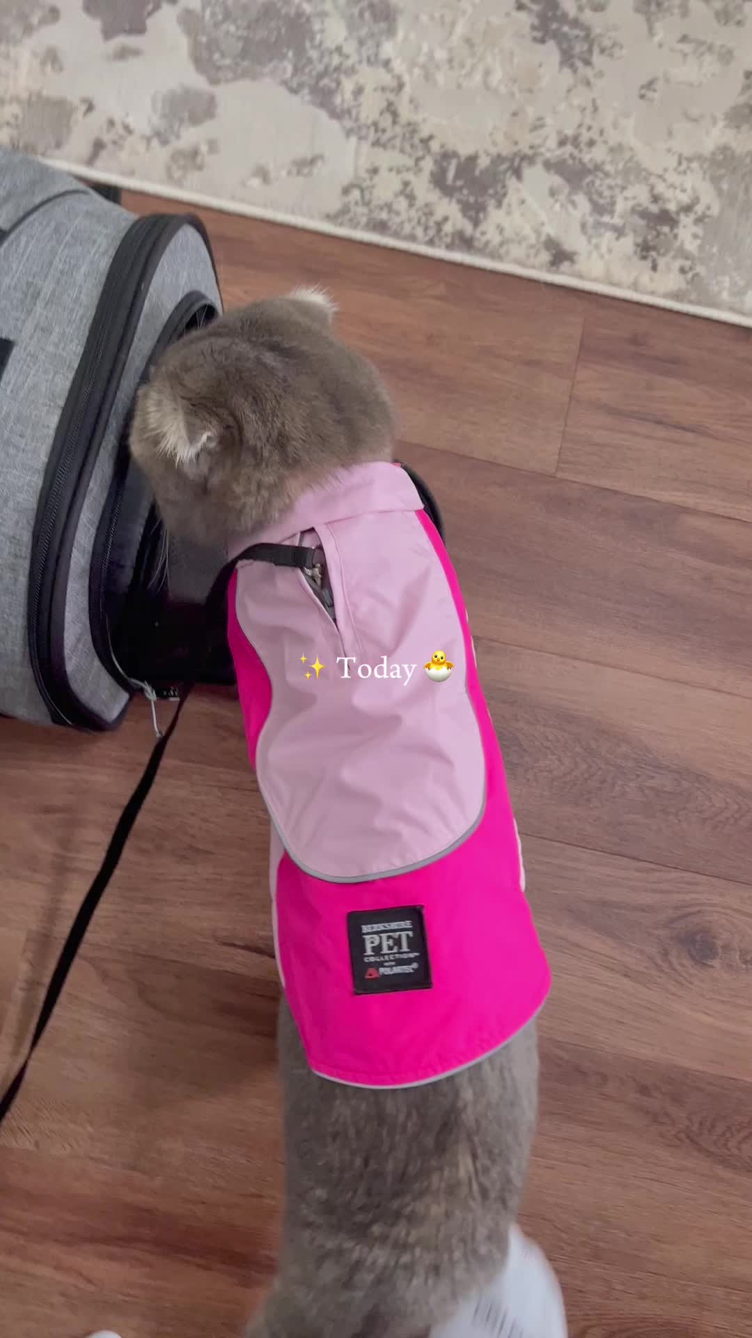 @𝒰𝓏𝒷𝑒𝓀 𝓉𝓇𝒶𝓋𝑒𝓁𝑒𝓇
