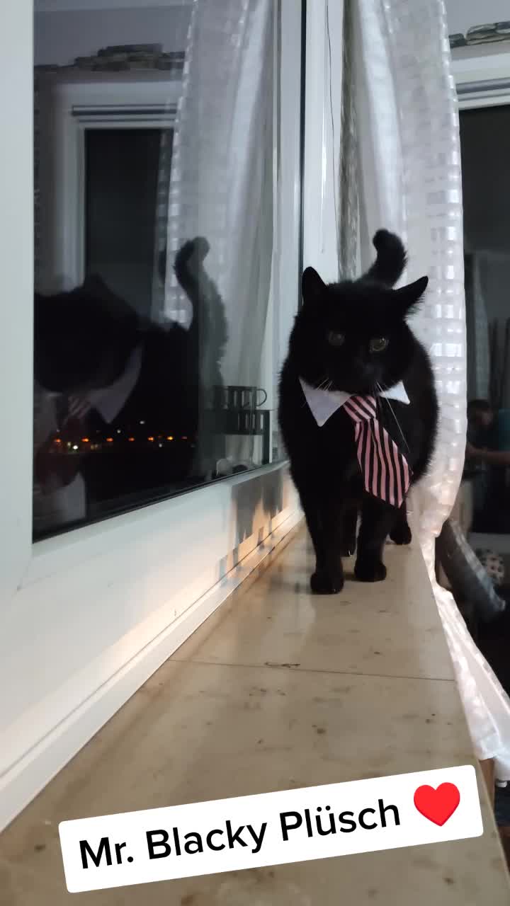 @𝐒𝔸𝓜тᑭᶠ&ouml;тᑕｈⒺή