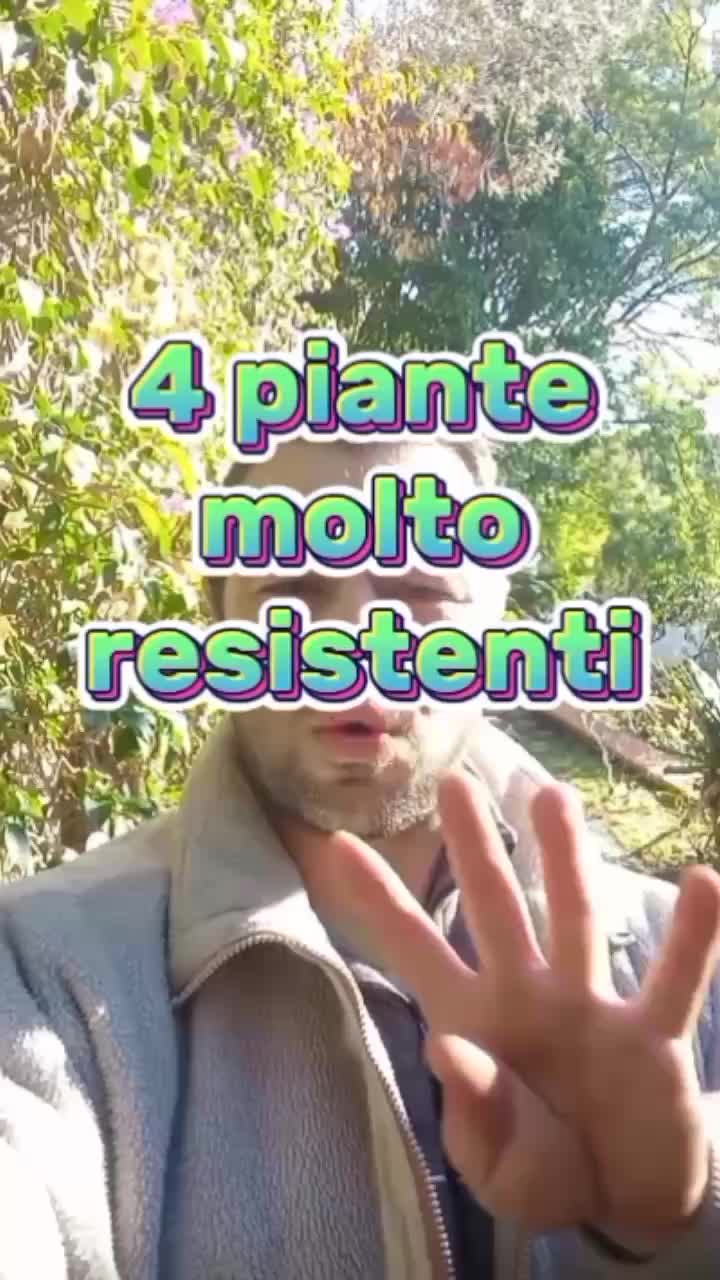 @Il giardiniere felice