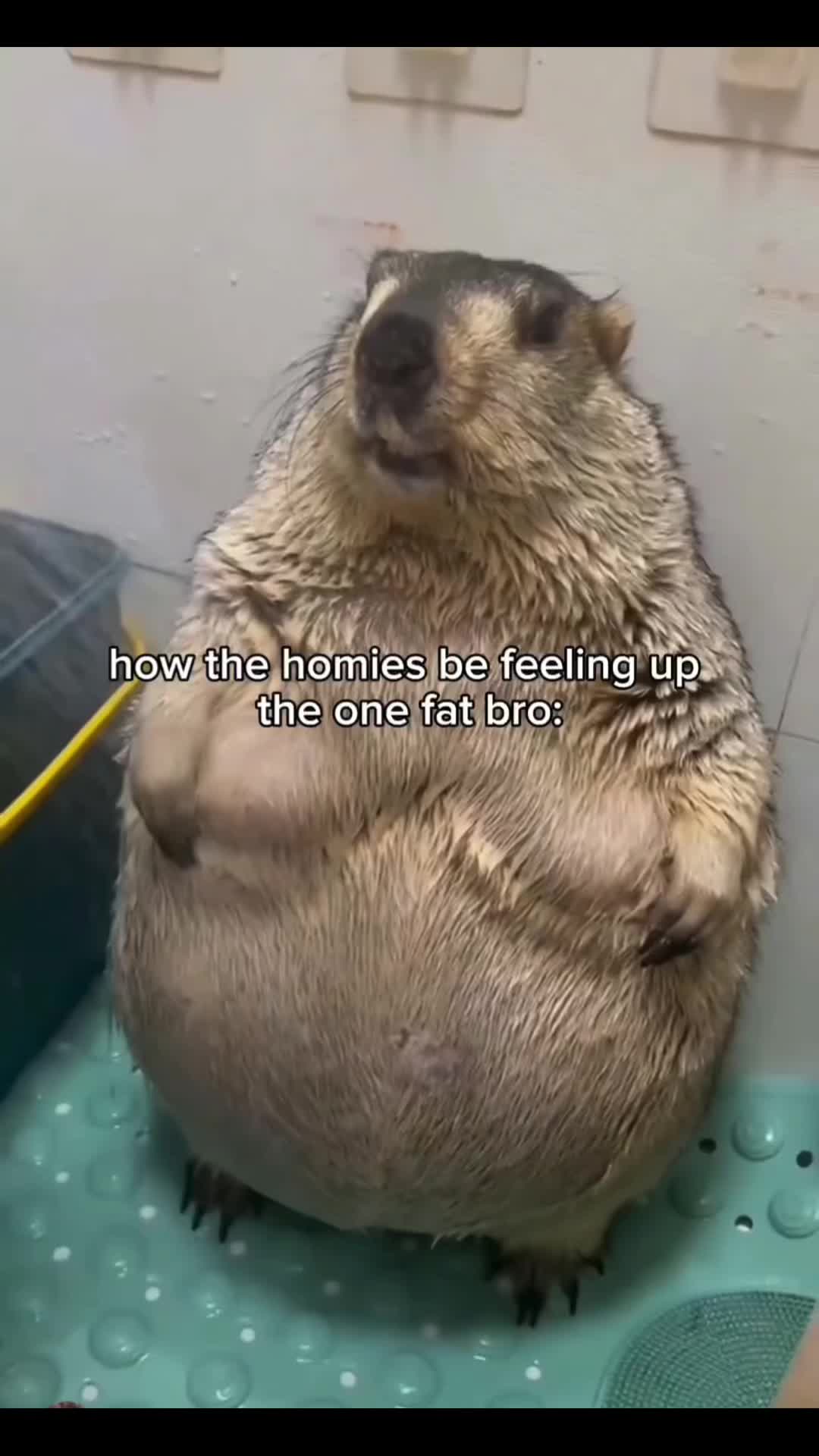 @JustVideos