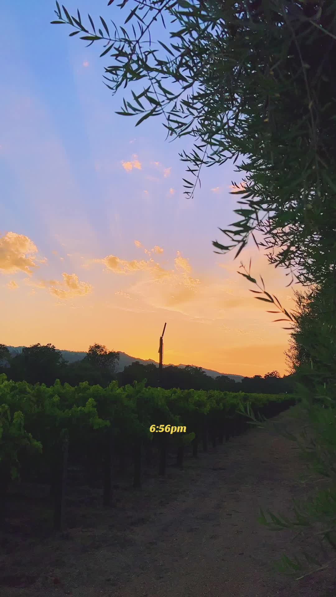 @WineCountryDrone