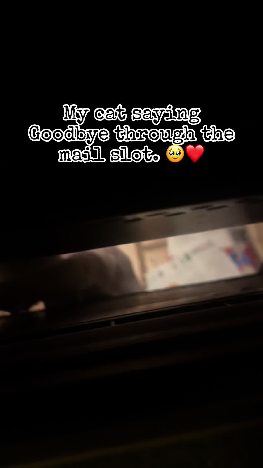 @Ninjapixie