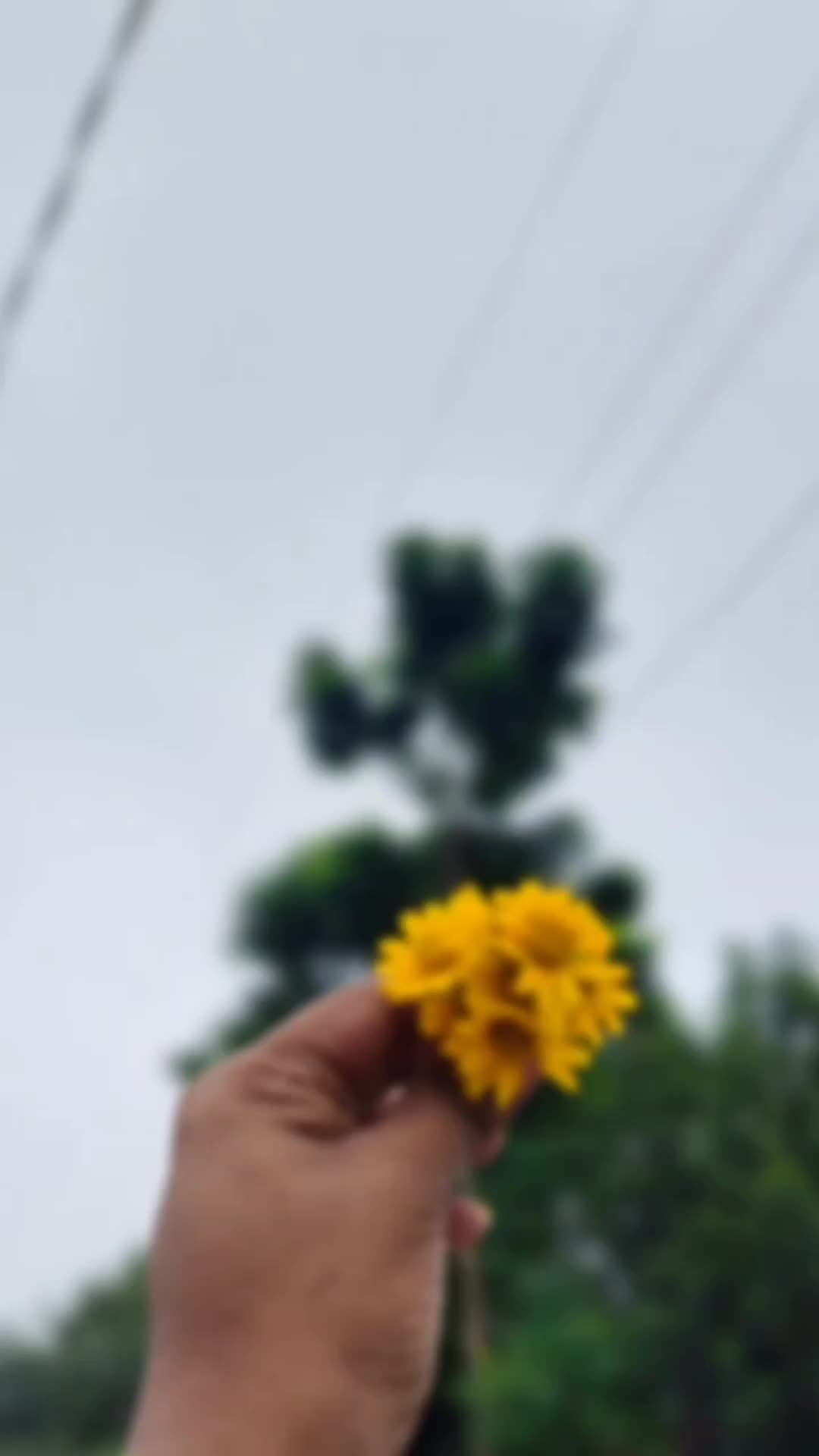 @Naznin Nahar Niha 🖤