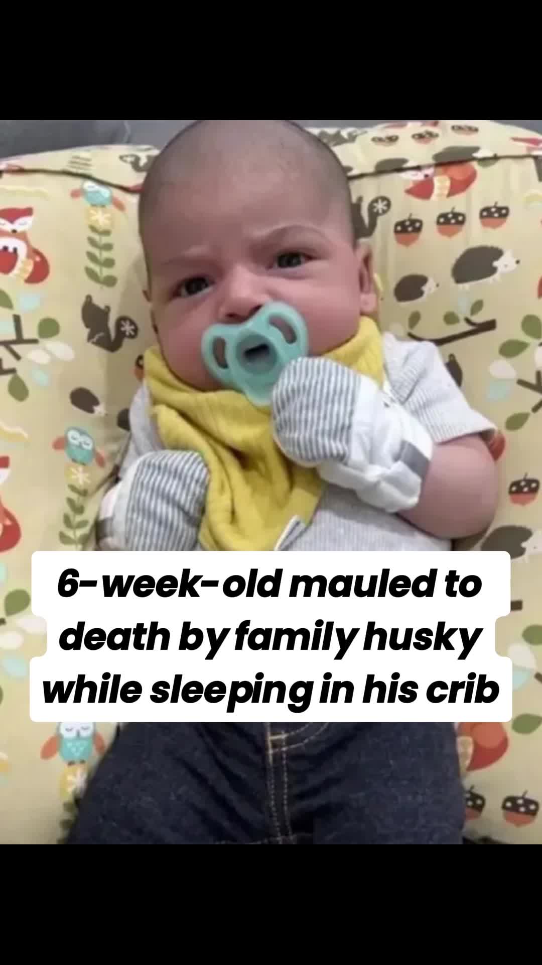 @Udopm