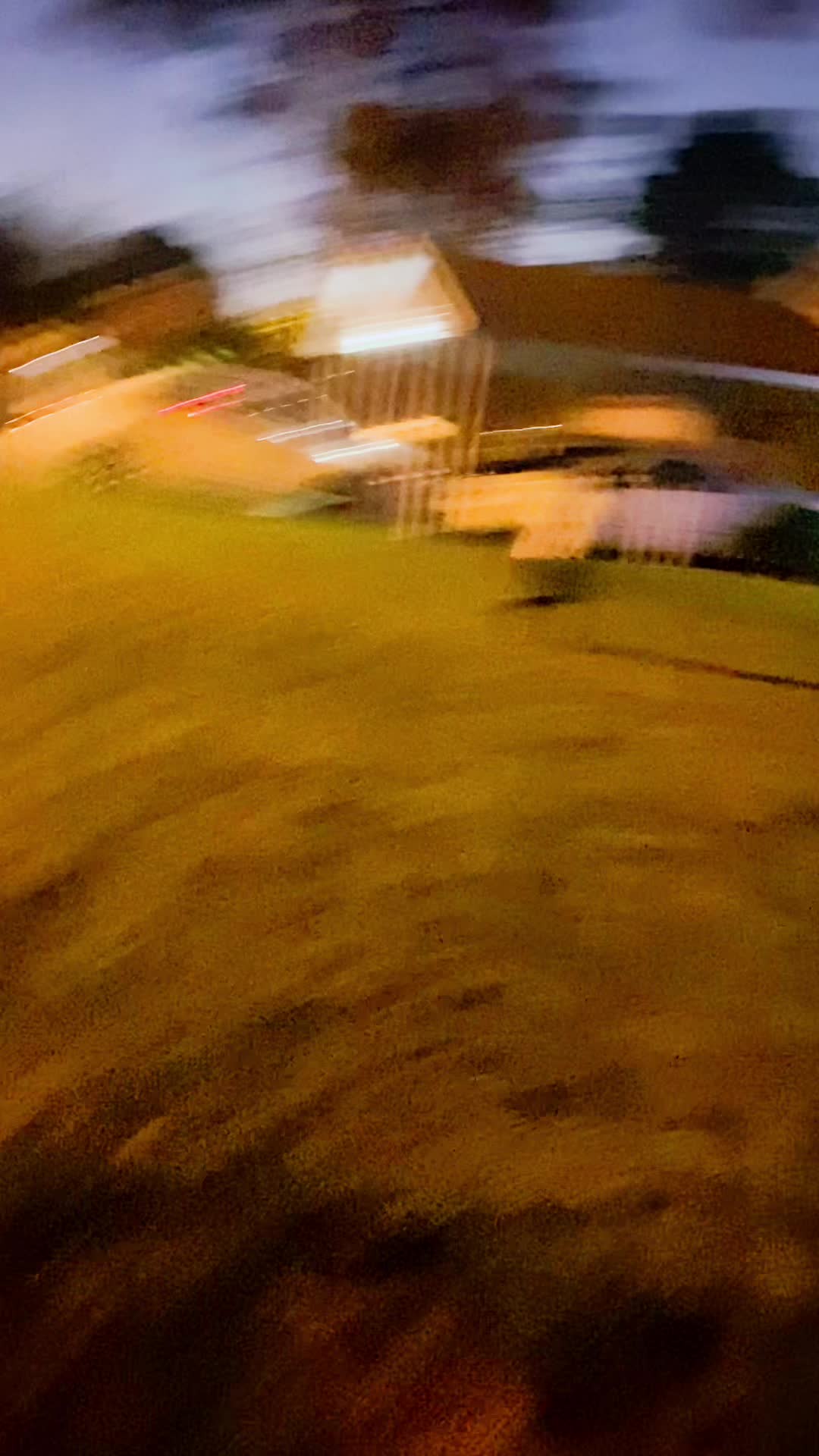 @BabyGoat1of1